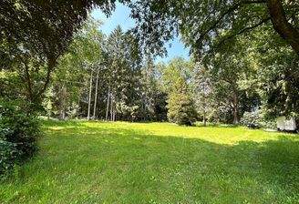 Groß, ruhig und gewachsen