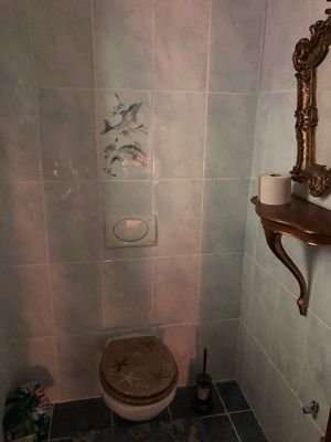 Toilette II