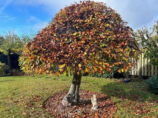 Herbststimmung