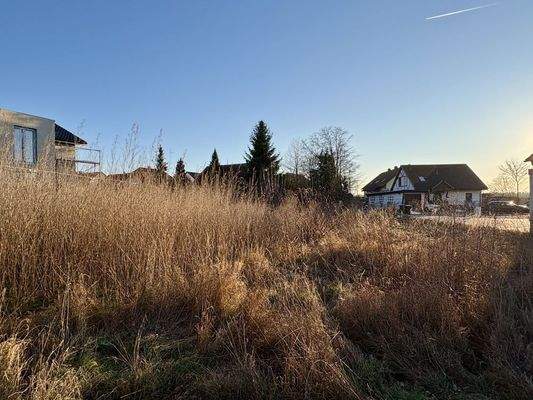 Grundstück Blickrichtung Süden