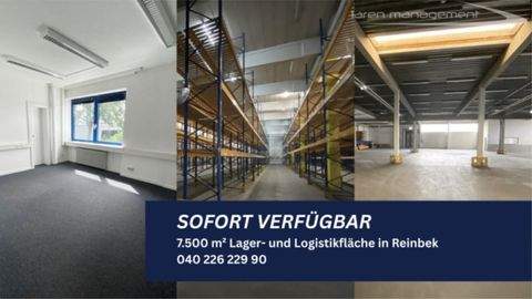 Reinbek Halle, Reinbek Hallenfläche