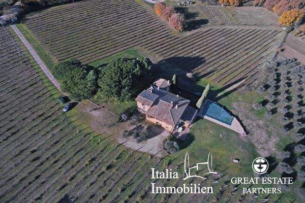 Schöne helle Villa in herrlicher Lage mit Türmchen, Pool, Weinberg und Olivenhain