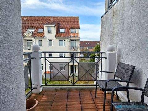 Neubrandenburg Wohnungen, Neubrandenburg Wohnung kaufen