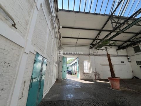Frechen Halle, Frechen Hallenfläche