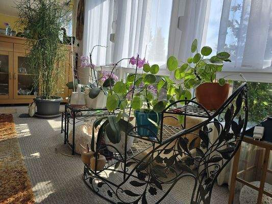 EG Detail Wohnzimmerbereich