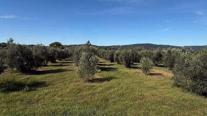 F9573F6D-55C9-4E0B-B8C5-9C0E149D29D2_1_102_a