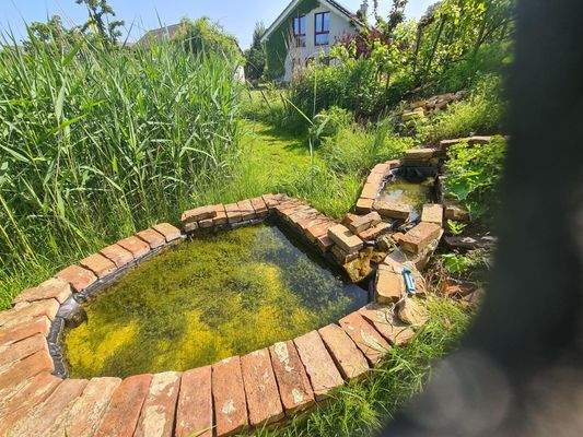 Blick vom Westende des Gartens Richtung Haus mit Abkühlbecken für den Sommer