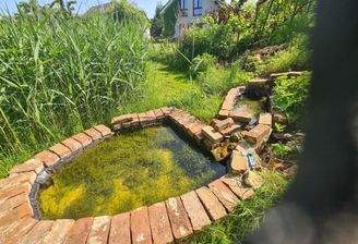 Blick vom Westende des Gartens Richtung Haus mit Abkühlbecken für den Sommer