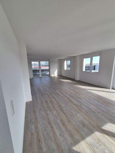 Singen (Hohentwiel) Wohnungen, Singen (Hohentwiel) Wohnung mieten