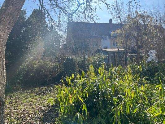 Vorgarten.JPG
