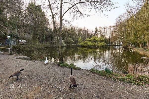 Genießen Sie den Sonnenuntergang