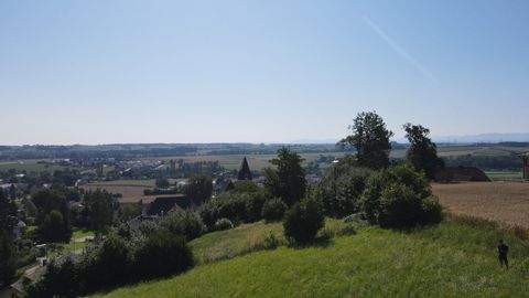 Kematen an der Krems Wohnungen, Kematen an der Krems Wohnung kaufen