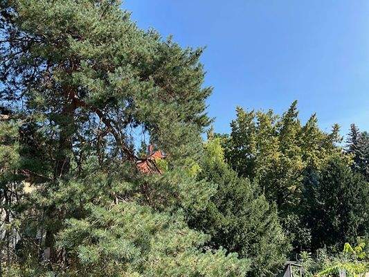 Aussicht Zimmer 2 OG