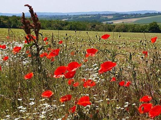 WhatsApp Image 2025-10-22 at 14.11.00.jpeg