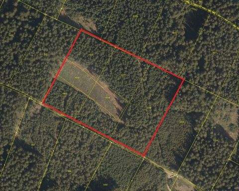 Moosbach Bauernhöfe, Landwirtschaft, Moosbach Forstwirtschaft