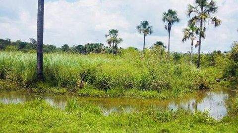 Presidente Figueiredo Grundstücke, Presidente Figueiredo Grundstück kaufen