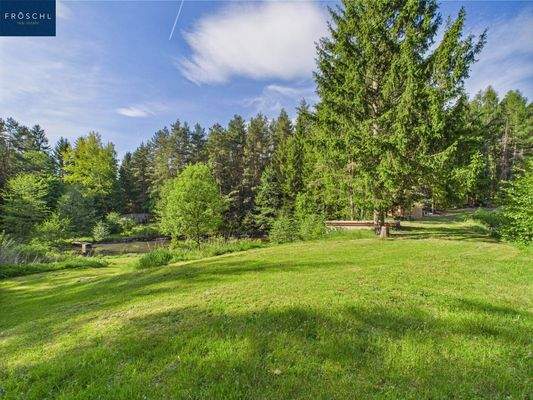 Blick zum Teich 2 und Richtung Scheune