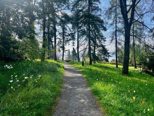 ...in den Parkanlagen...