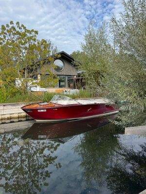 Seltenheit am Wasser