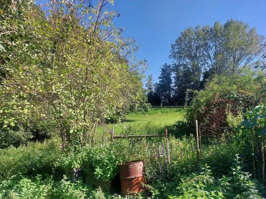 Bild 17