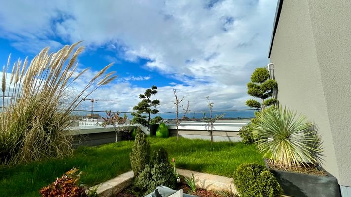 Dachgarten Dachterrasse 