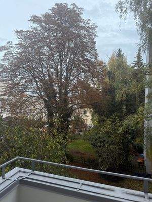 Blick ins Grüne von dem Balkon