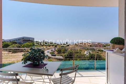 siracusa Wohnungen, siracusa Wohnung kaufen