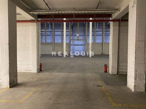 Pfullingen Halle, Pfullingen Hallenfläche