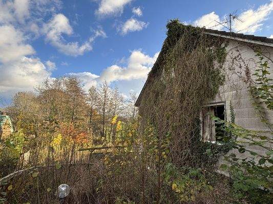 Außenansicht/Garten