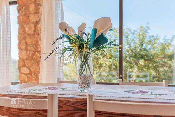 finca-colonia-de-sant-jordi-13