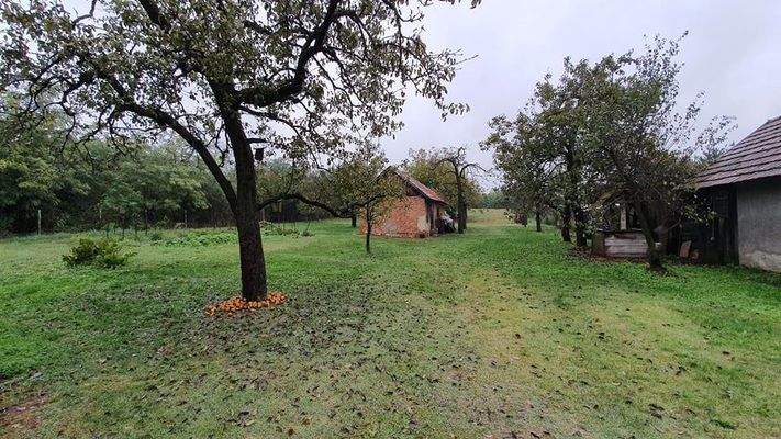 244400013_396832215366227_4417740528376029006_n.jp