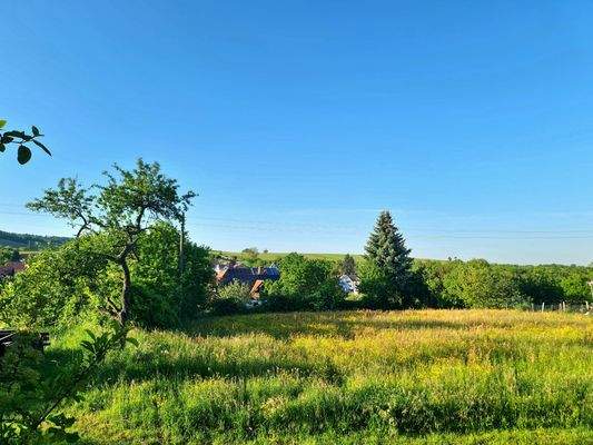 Blick aus der Haustür