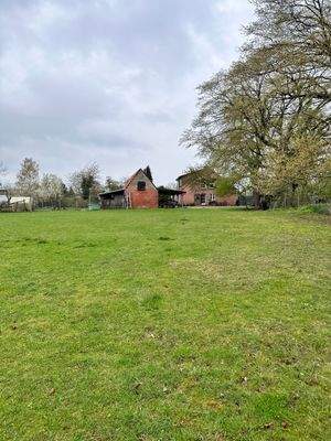 Garten Blick auf das Haus.jpg