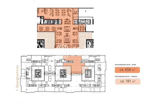 Neubau - 1.OG - ca. 658 m²