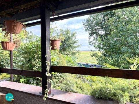 Velm Häuser, Velm Haus kaufen