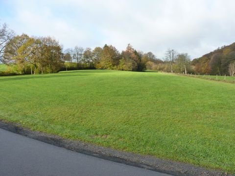 Waldbröl Bauernhöfe, Landwirtschaft, Waldbröl Forstwirtschaft