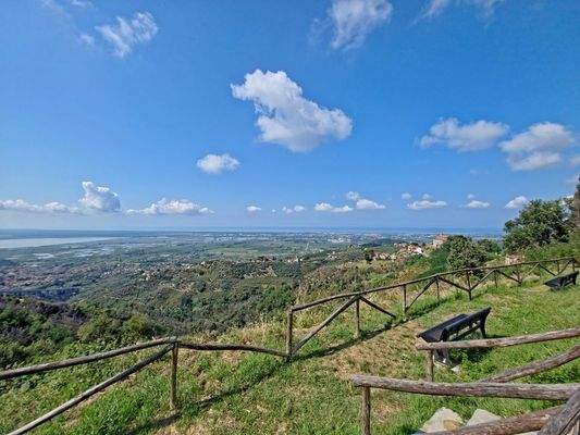 20250826_112029 - 1K JPEG.jpg