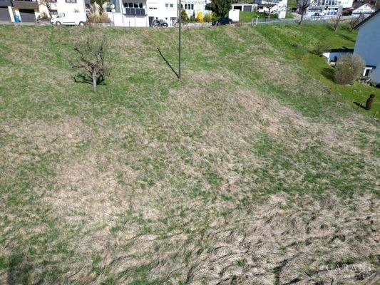 dji fly 20250405 104504 745 1743843079756 photo