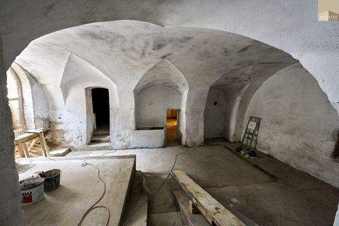 Pfaffstätten Halle, Pfaffstätten Hallenfläche