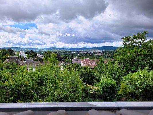 Ausblick vom Dachgeschoss.jpg