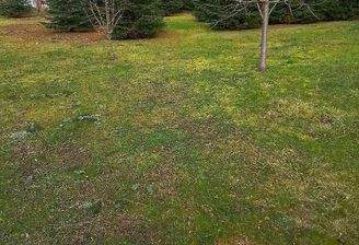 444623ce959a04a15f5cb34f608ed1