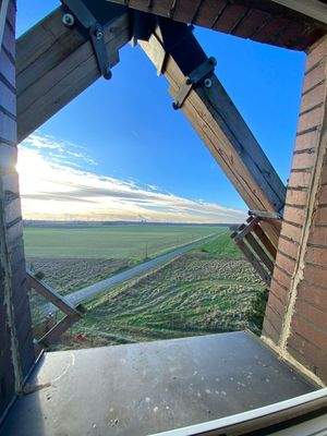 Ihr Aus- und Durchblick