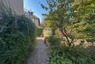 Zugang zum Garten