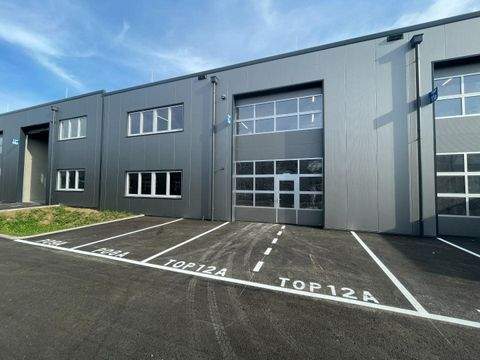 Regau Halle, Regau Hallenfläche