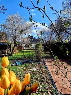 herrliches Grundstück