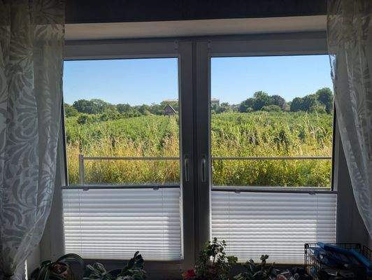 Blick aus dem Fenster 