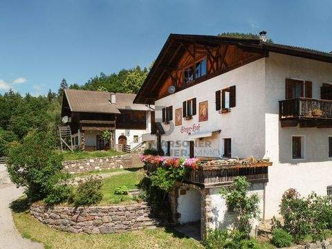 Vöran - Verano Bauernhöfe, Landwirtschaft, Vöran - Verano Forstwirtschaft