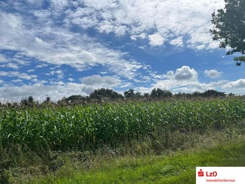 Westerstede Bauernhöfe, Landwirtschaft, Westerstede Forstwirtschaft