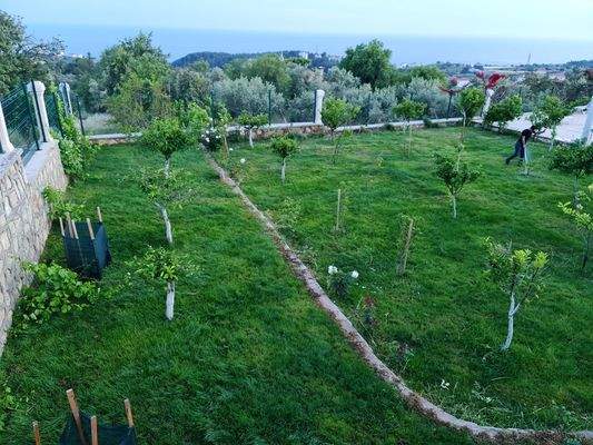 WhatsApp Image 2023-06-15 at 12.01.35 (3).jpeg