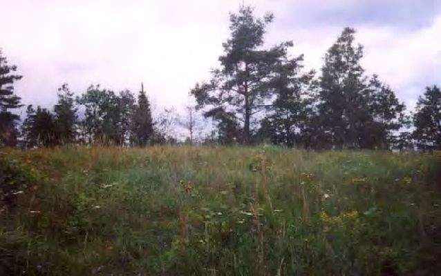 Blick vom Grundstück...